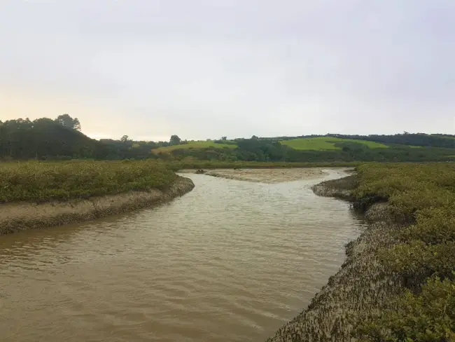 Land Air Water Aotearoa : 陆地空气水