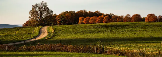 Maine Association Of Naturopathic : 缅因州自然疗法协会