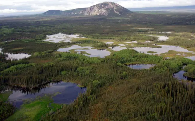 Boreal Forest Natural Region : 北方森林自然区