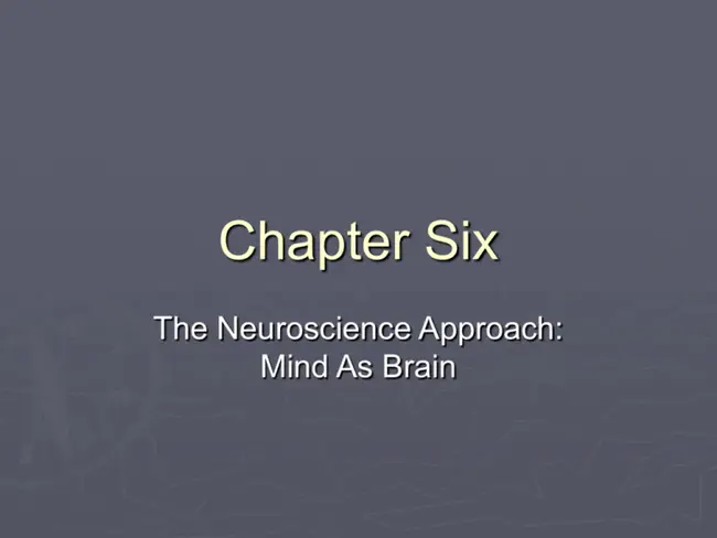 Chapter Society for Neuroscience : 神经科学学会