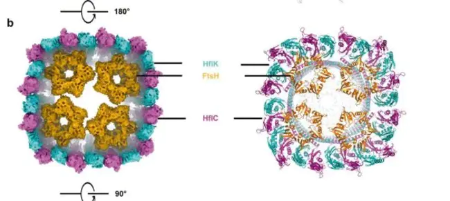 Center for Structures of Membrane Proteins : 膜蛋白结构中心