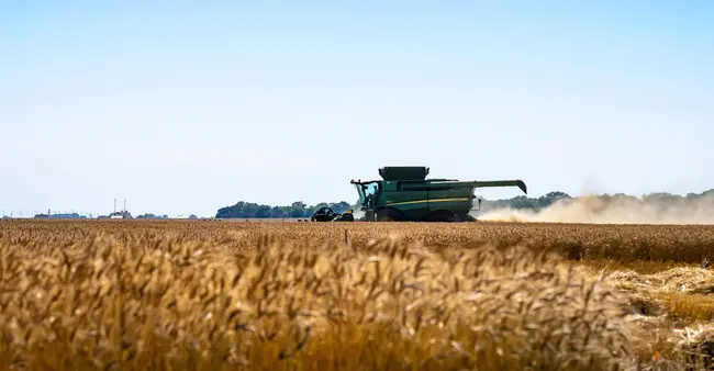 Oklahoma Wheat Growers Association : 俄克拉荷马州小麦种植者协会