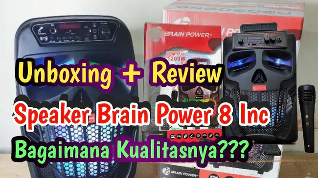 Brain Power Inc : 脑动力公司