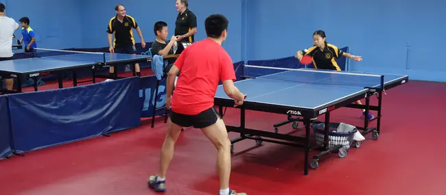 Wynnum Table Tennis Association : 温纳姆乒乓球协会