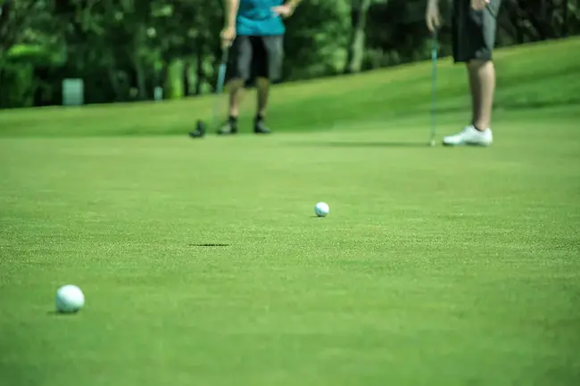 Tupelo Disc Golf Association : 图珀洛飞盘高尔夫协会