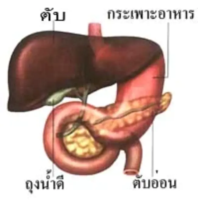 Bio Huma Netics : 生物腐殖酸