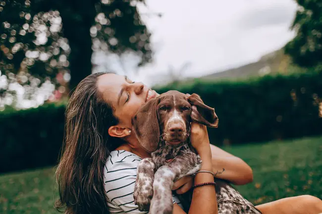 Pittsburgh East Animal Hospital : 匹兹堡东部动物医院