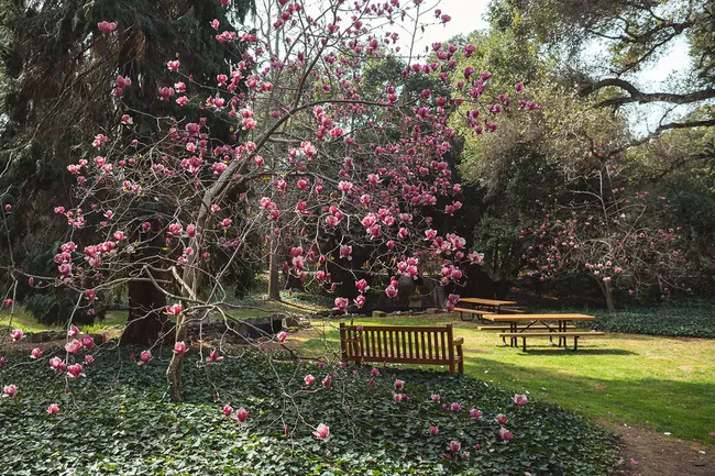 Stanford Center for Innovations in Learning : 斯坦福学习创新中心