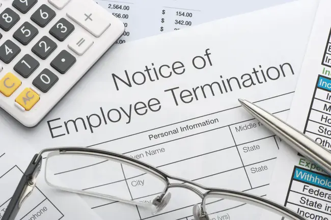 Employment Protection Legislation : 就业保护立法