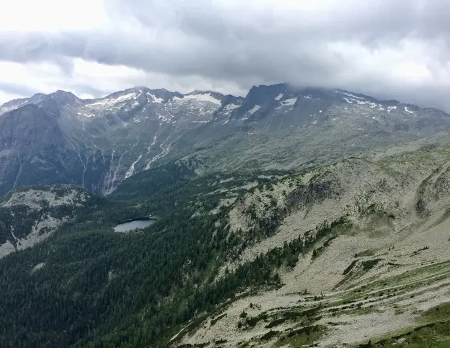 Mountain Lake Biological Station : 山湖生物站