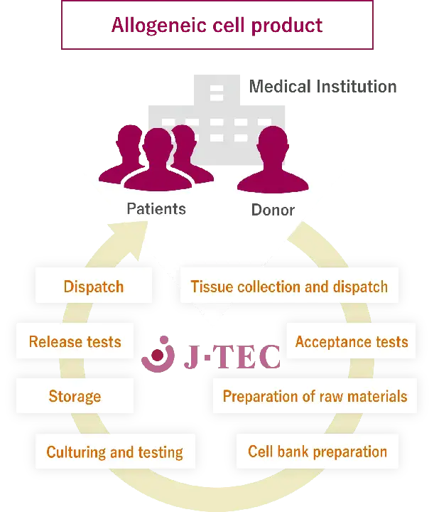 Autotologous Tenocyte Implantation : 自体色素肌腱细胞植入术