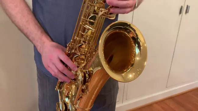 Yamaha Alto Saxophone : 雅马哈中音萨克斯管