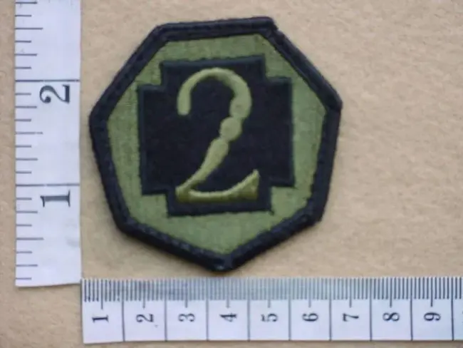 Combat Service Identification Badge : 战斗勤务识别徽章