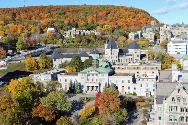 McGill Bird Observatory : 麦吉尔观鸟台