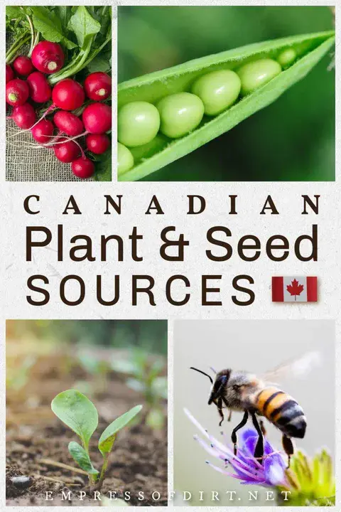 Seeds of Diversity Canada : 加拿大多样性种子