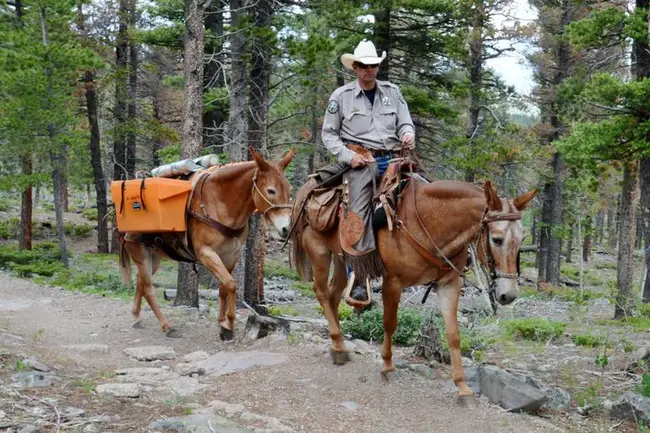 Colorado Parks and Wildlife : 科罗拉多公园和野生动物