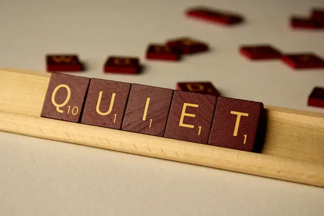 Quiet Key : 静音键