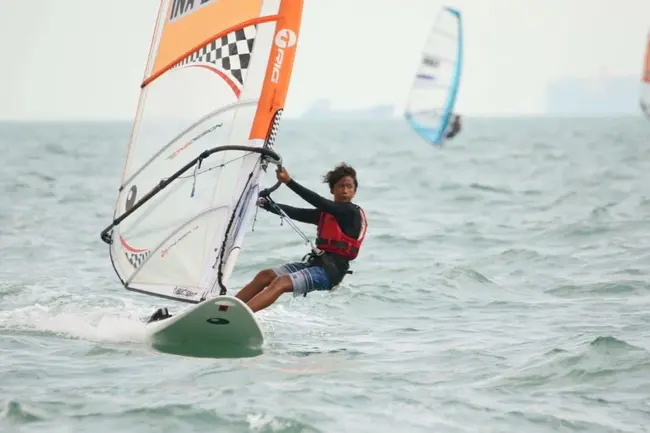 Professional Windsurfers Association : 职业冲浪者协会