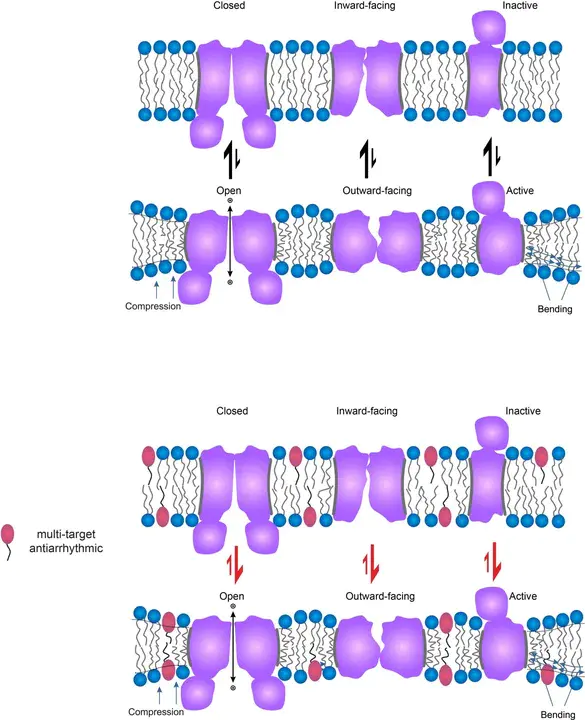 Antiarrhythmics Versus Implantable Defibrillators : 抗心律失常与植入式除颤器比较