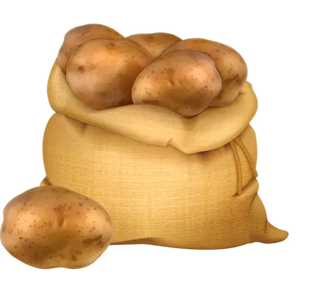 Mister Potato Head : 土豆头先生