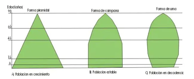 Isotope Separator on Line : 同位素分离器在线