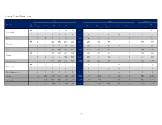 Program Evaluation Management System : 项目评价管理系统