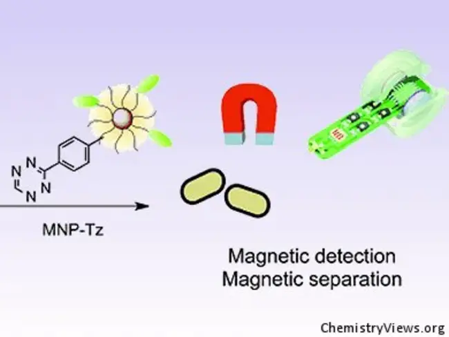 Magnetic Diagnostic Resources : 磁诊断资源