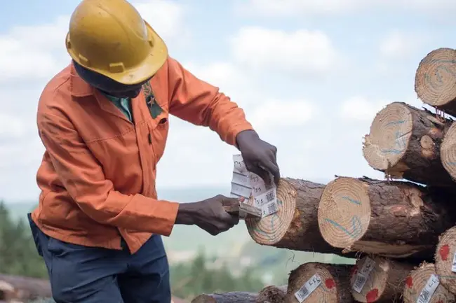 Forestry Research Institute of Nigeria : 尼日利亚林业研究所