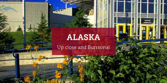 Alaska Island Community Services : 阿拉斯加岛社区服务