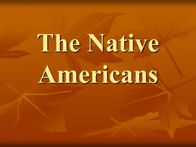 American Indian Cultural Support : 印第安文化支持