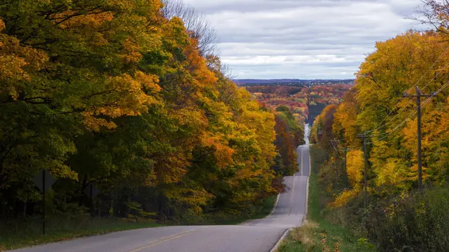 Michigan Alternate Routes to Certification : 密歇根州认证替代路线