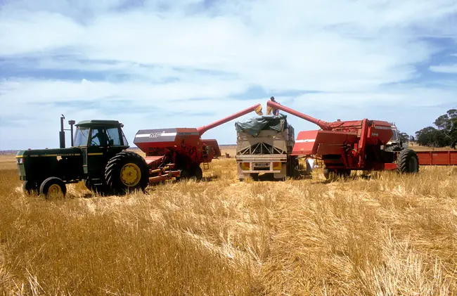 Western Australian Farmers Federation : 西澳大利亚农民联合会