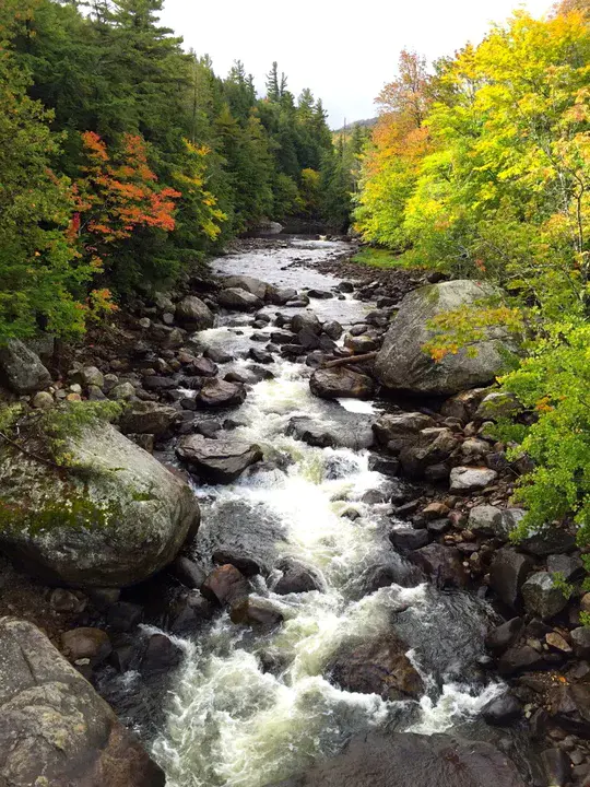 Adirondack Recreational Trail Advocates : 阿迪朗达克休闲步道倡导者