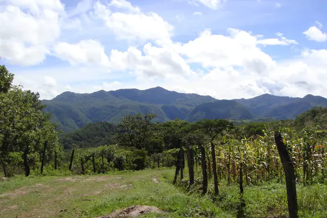 Honduras This Week : 本周洪都拉斯