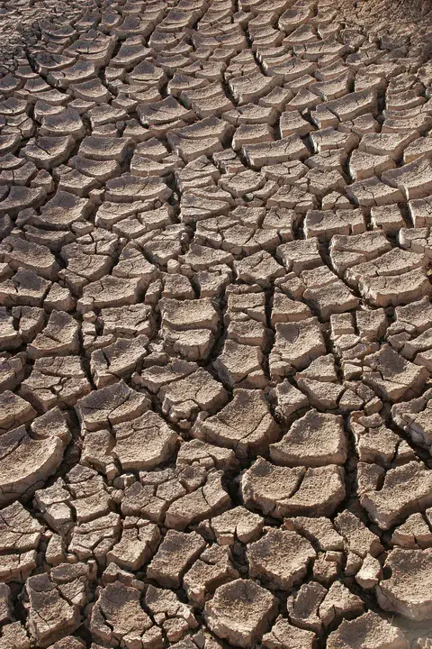 Drought Prone Area Programme : 干旱易发地区方案