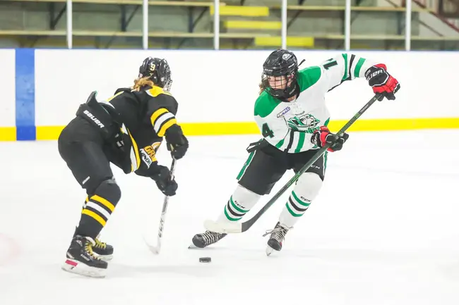 Okotoks Minor Hockey Association : 奥科托克斯青少年冰球协会