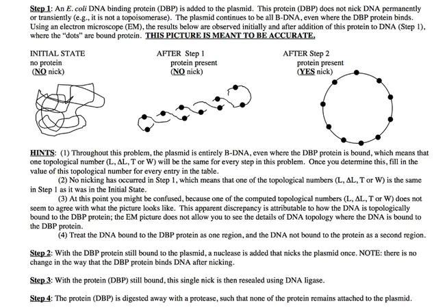 Partial Connection Multilayered Network : 部分连接多层网络