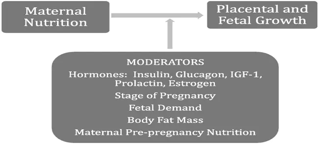 Pregnancy Nutritional Surveillance System : 妊娠营养监测系统