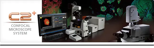 Confocal scanning light microscopy : 共聚焦扫描光学显微镜