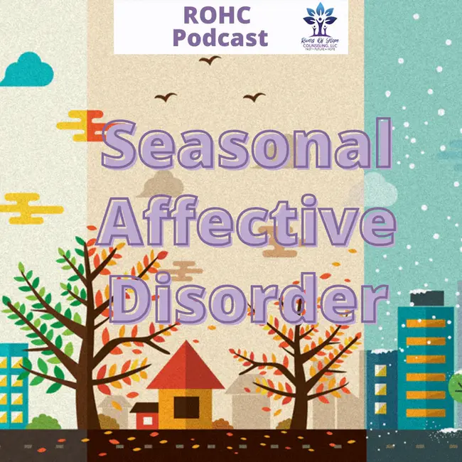 Seasonal Affective Disorder Association : 季节性情感障碍协会