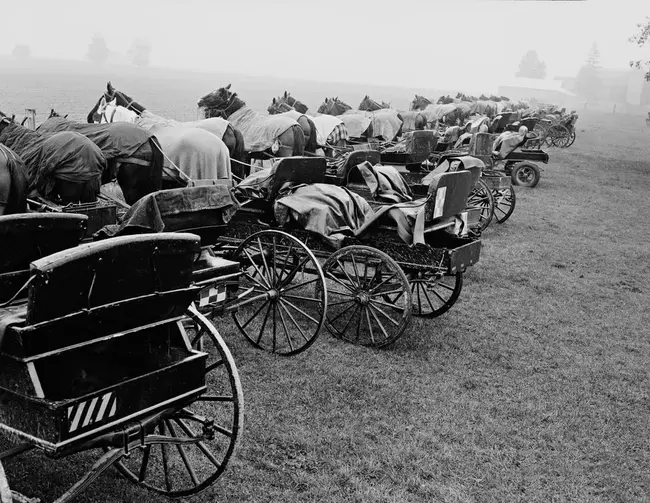 Carolina Polo and Carriage Company : 卡罗莱纳马球和马车公司