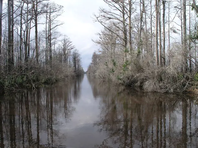 Okefenokee Technical College : 奥克费诺基技术学院