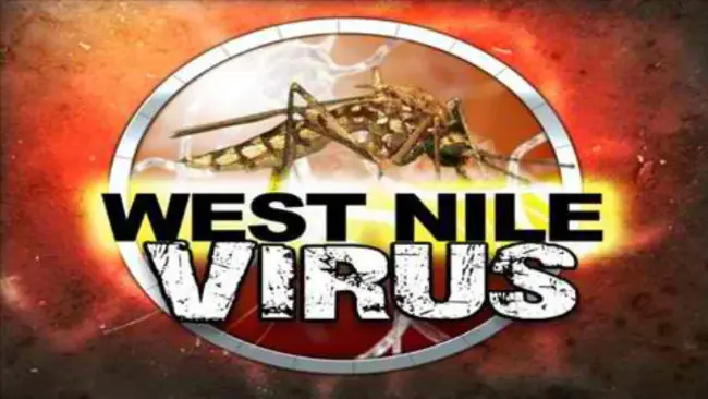 West Nile neuroinvasive disease : 西尼罗河神经侵袭性疾病