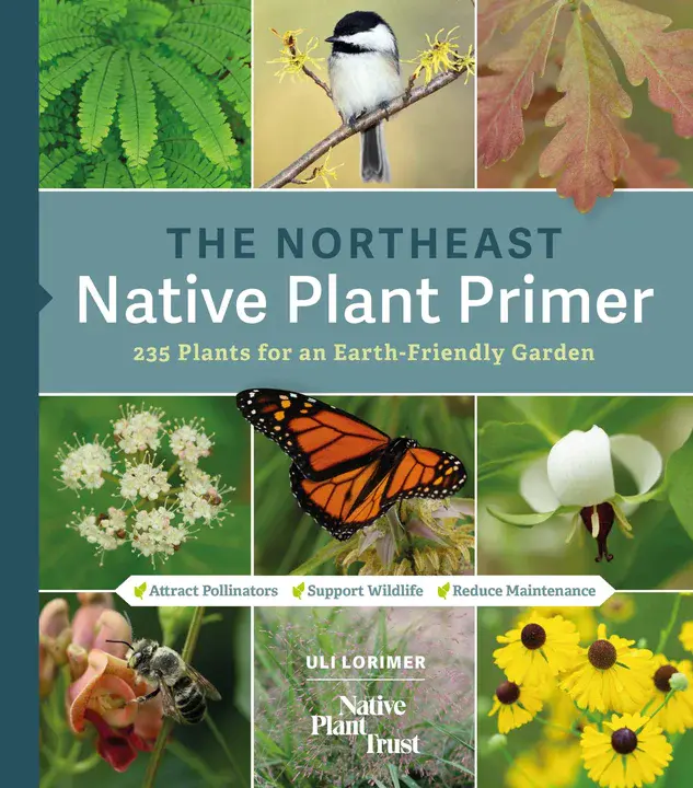 North American Native Plant Society : 北美原生植物学会