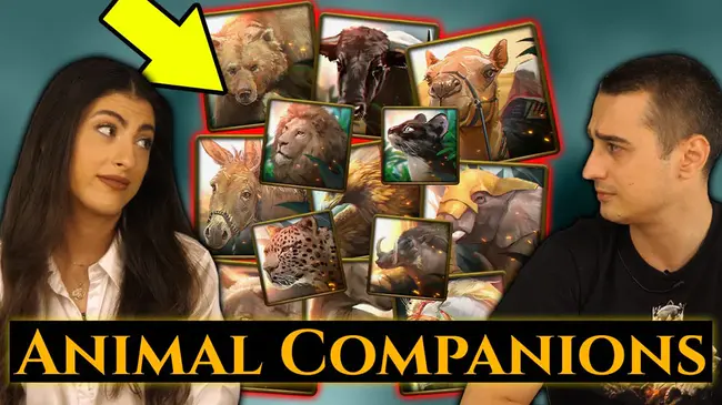 Companion Animal Responsible Ownership : 同伴动物责任所有权