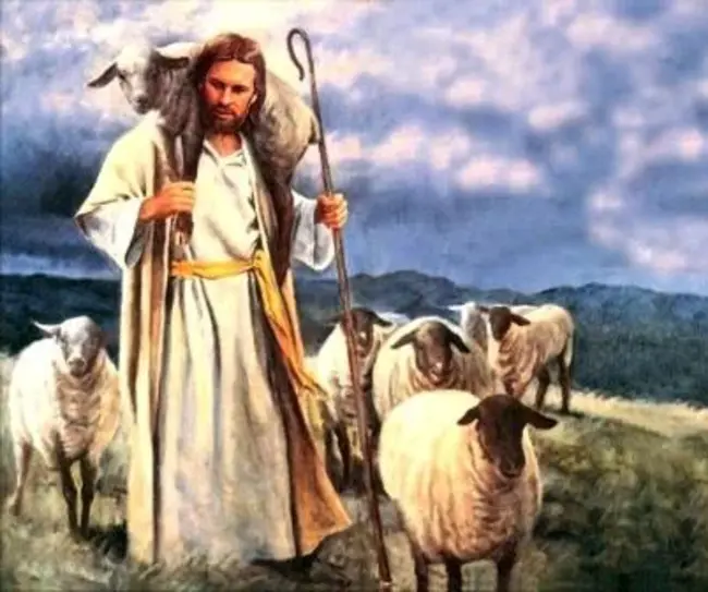 Jesus Good Shepherd : 耶稣好牧人