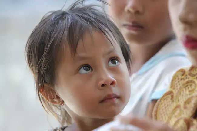 Developmental Cognitive and Affective Neuroscience : 发展认知与情感神经科学