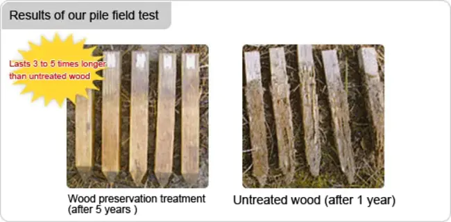 Wood Destroying Organisms : 木材破坏生物