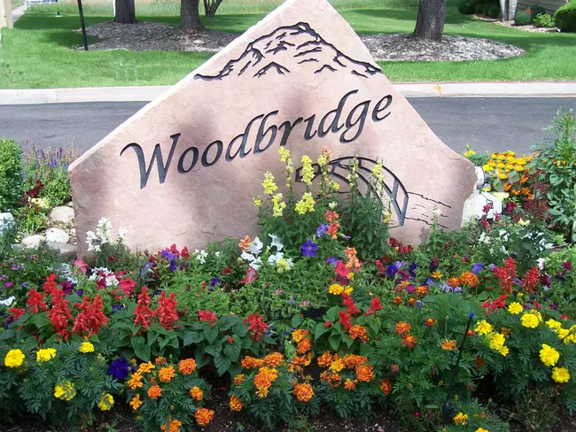 Woodbridge Village Association : 木桥村协会