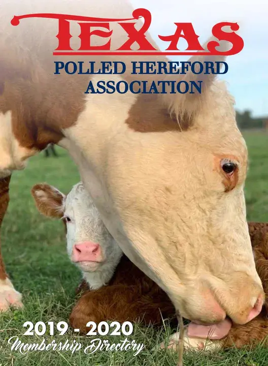 Texas Polled Hereford Association : 德克萨斯州赫里福德民意调查协会